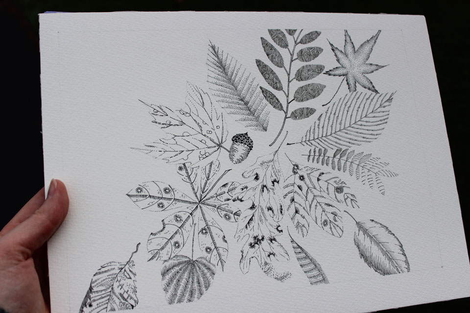 pen and ink leaves