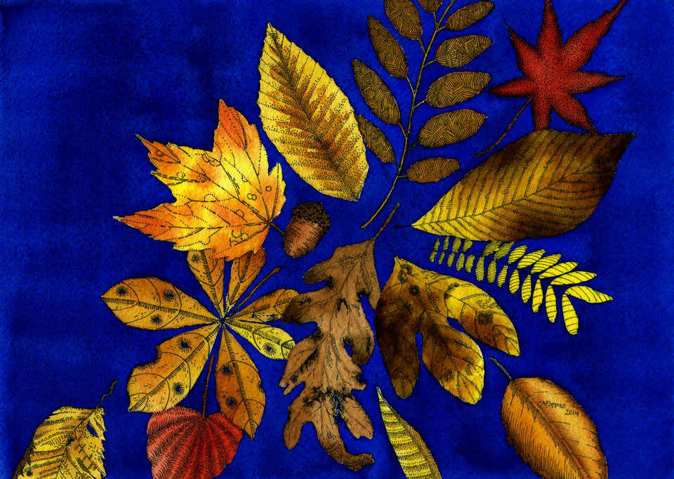 fall leaves ink watercolor