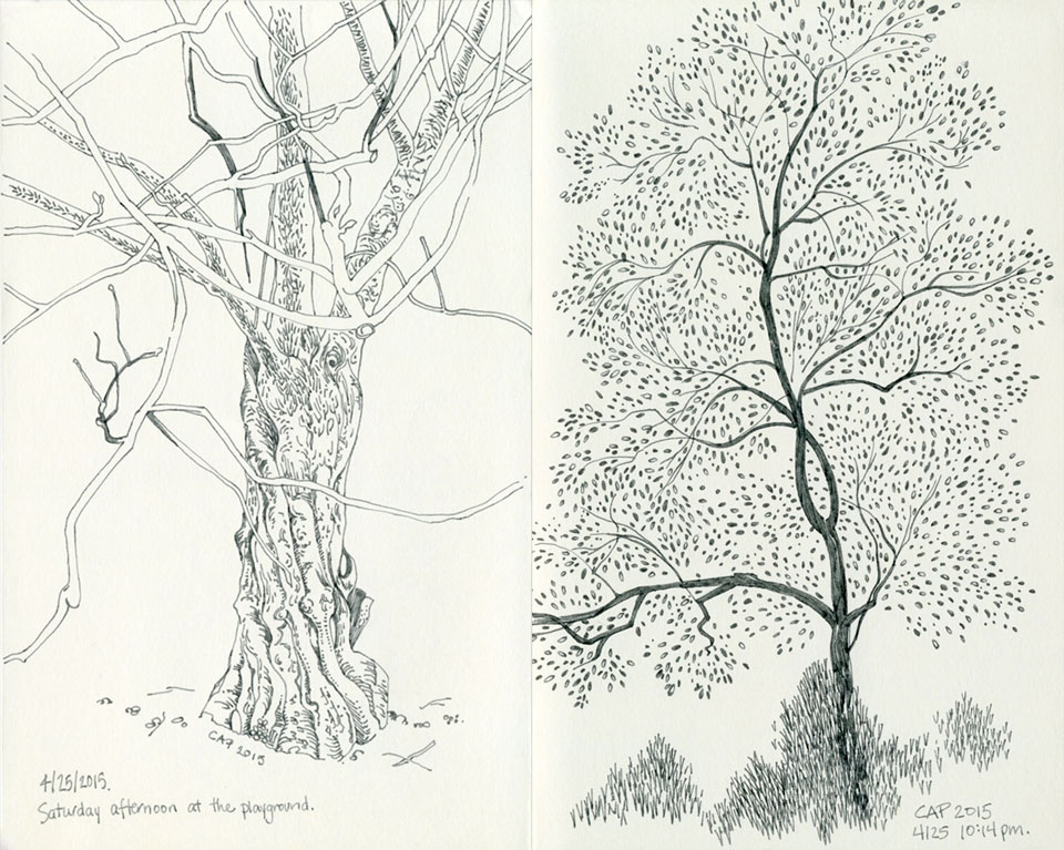 Tree Sketches by Carolyn A Pappas