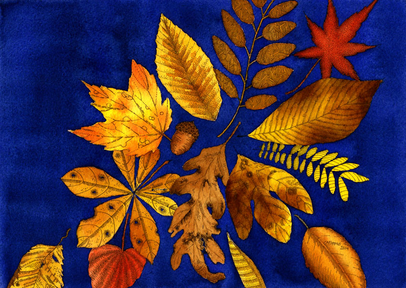 fall leaves