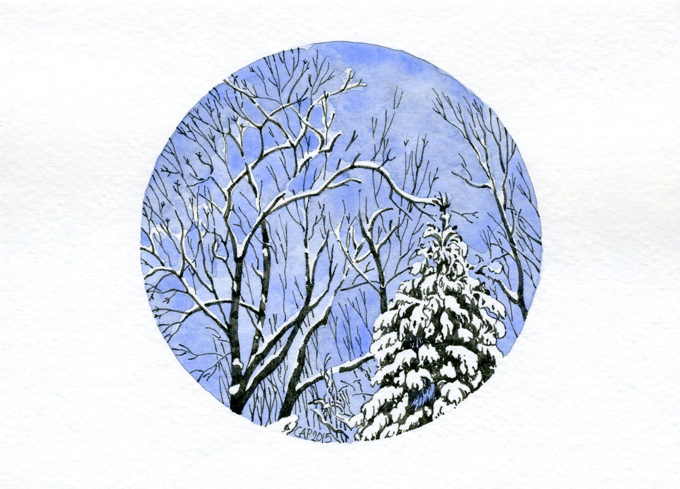 pen and ink winter trees