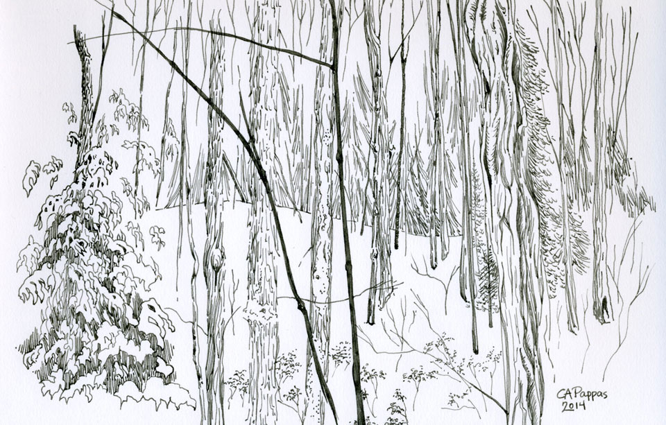 winter trees drawing