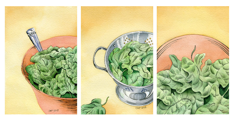 Spinach Illustration by Carolyn A Pappas
