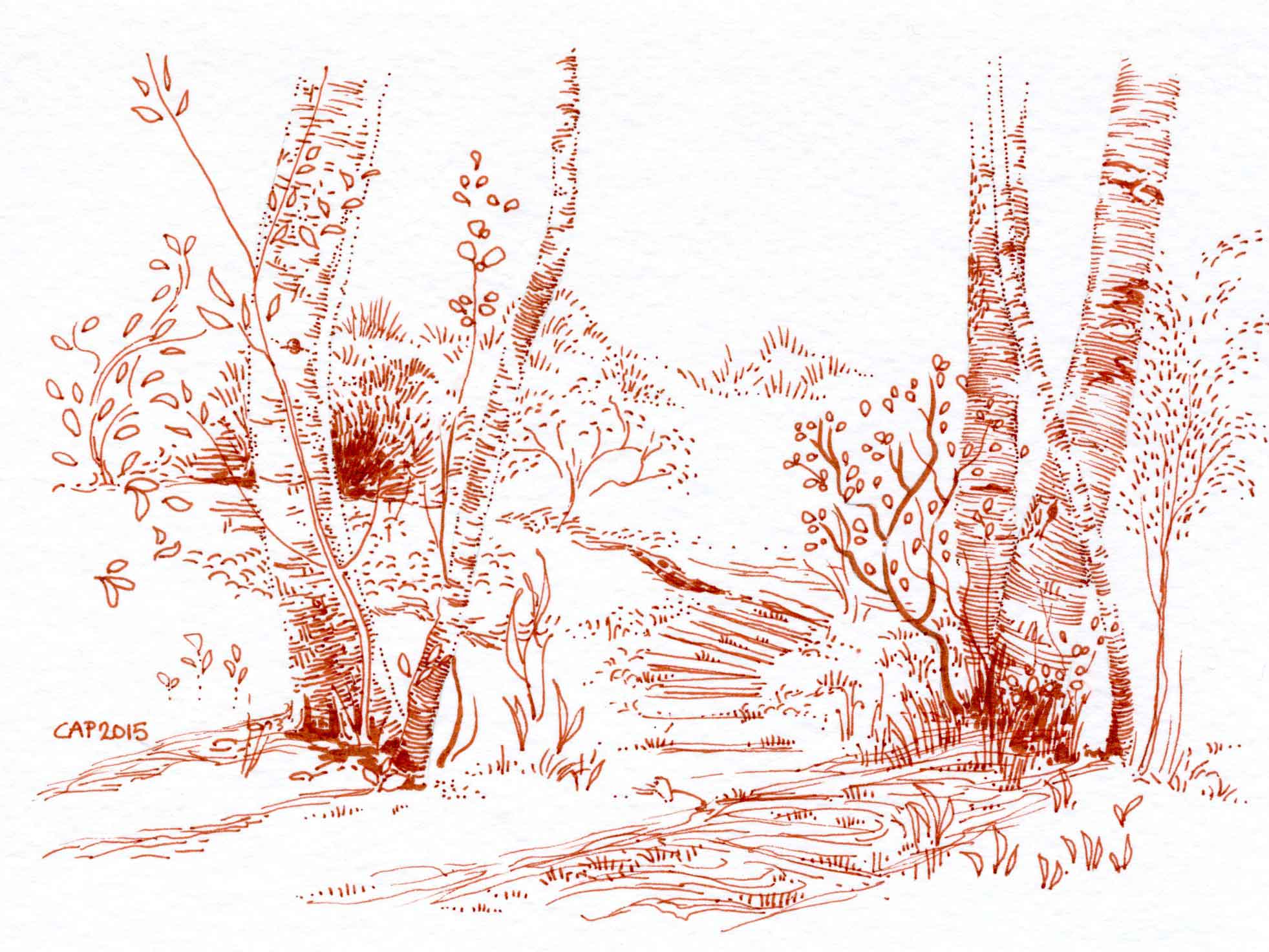 Pen and ink landscape by Carolyn A Pappas