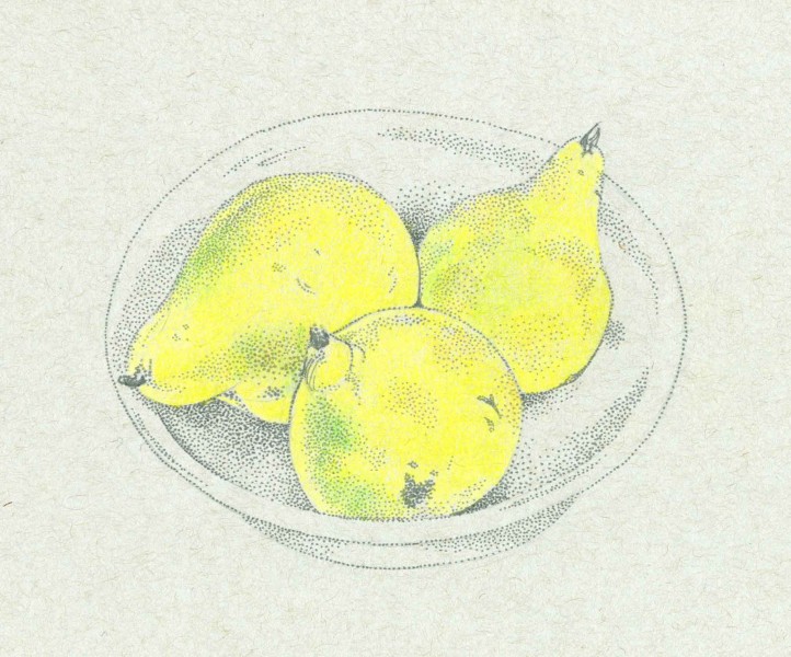 Pears in a Bowl by Carolyn A Pappas
