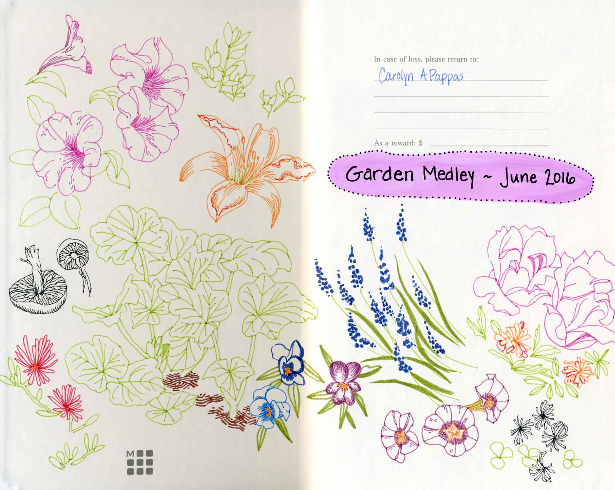 garden doodle