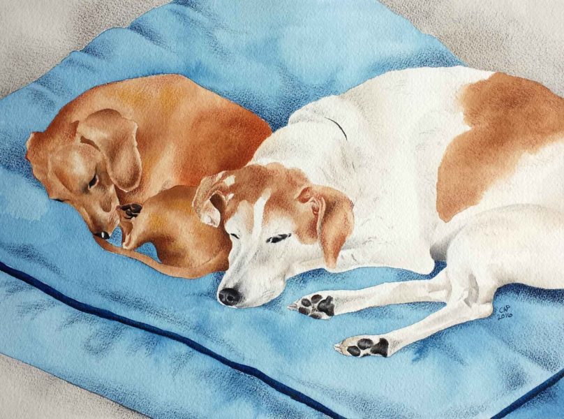 sleeping dogs painting