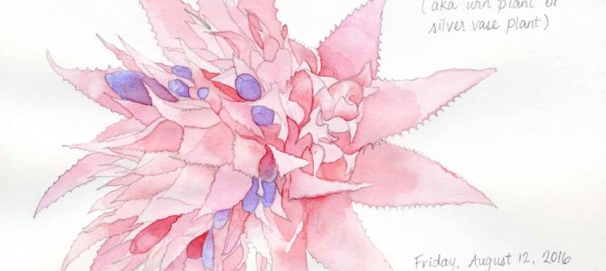 Selection of Pink Watercolor Flowers Selection of Pink Watercolor Flowers