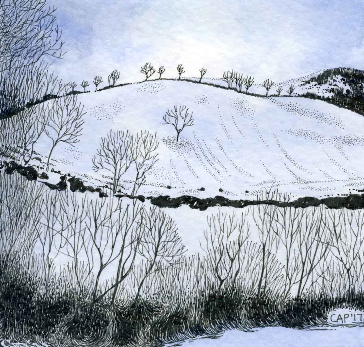 winter landscape
