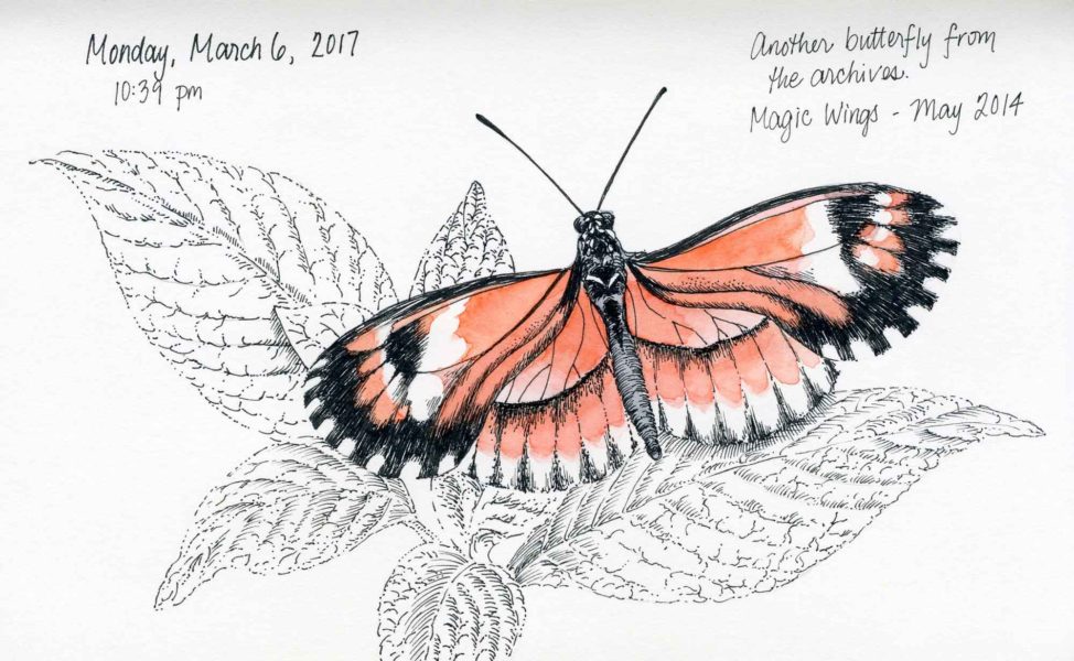 orange butterfly drawing