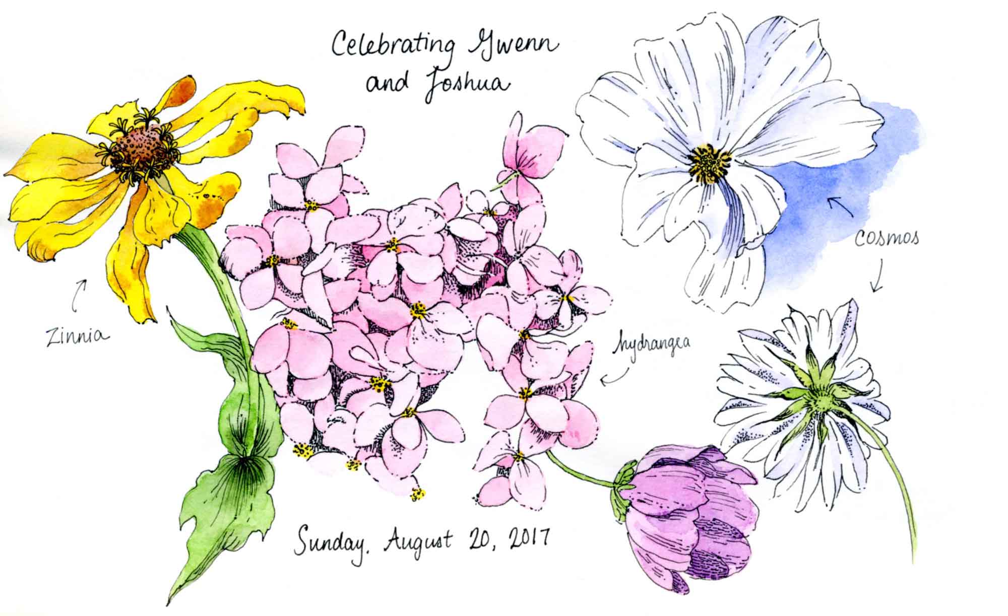 mixed flower sketch