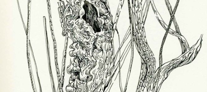 Starting Fresh for Spring (plus new pen and ink work) Starting Fresh for Spring (plus new pen and ink work)