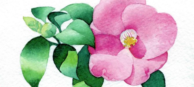 Small Watercolor Florals Small Watercolor Florals