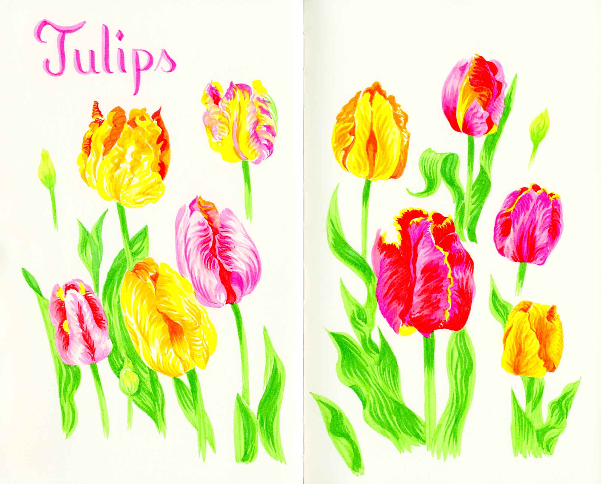 Tulips marker sketch.