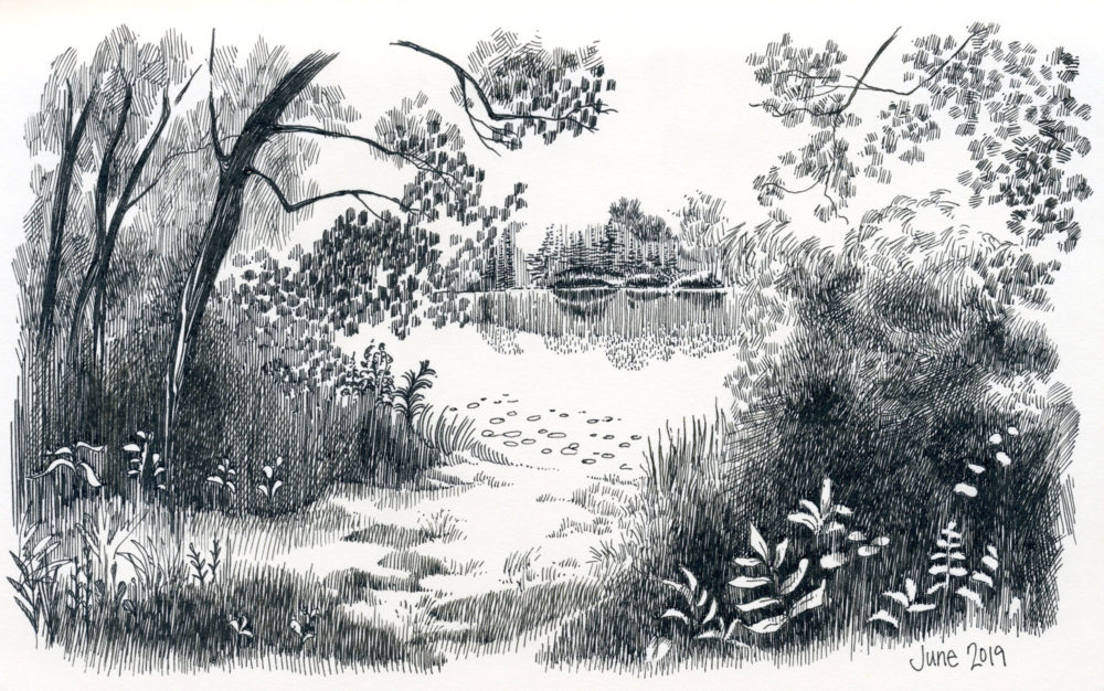 pen and ink landscape pond