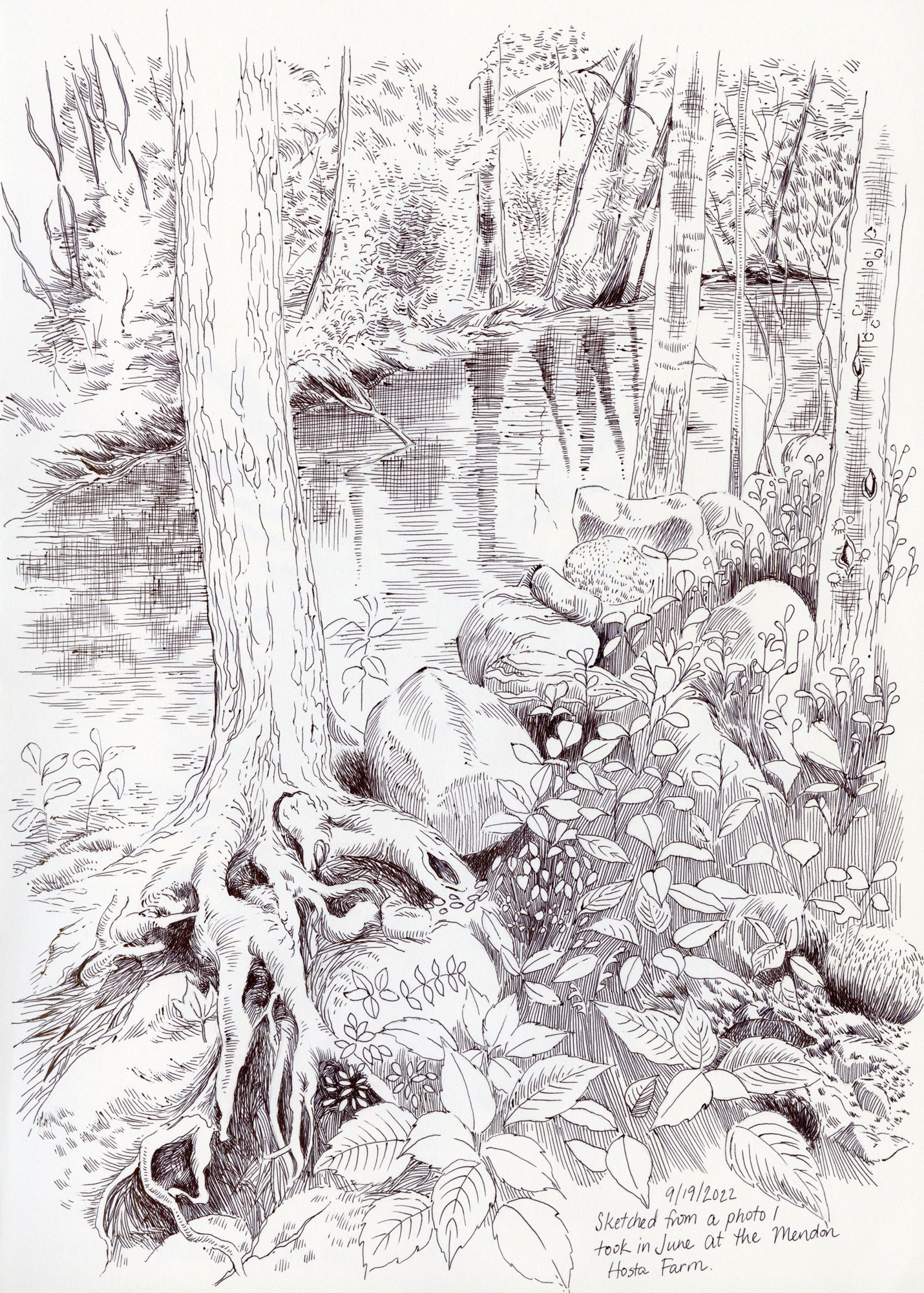 ball point pen drawing of a stream with trees