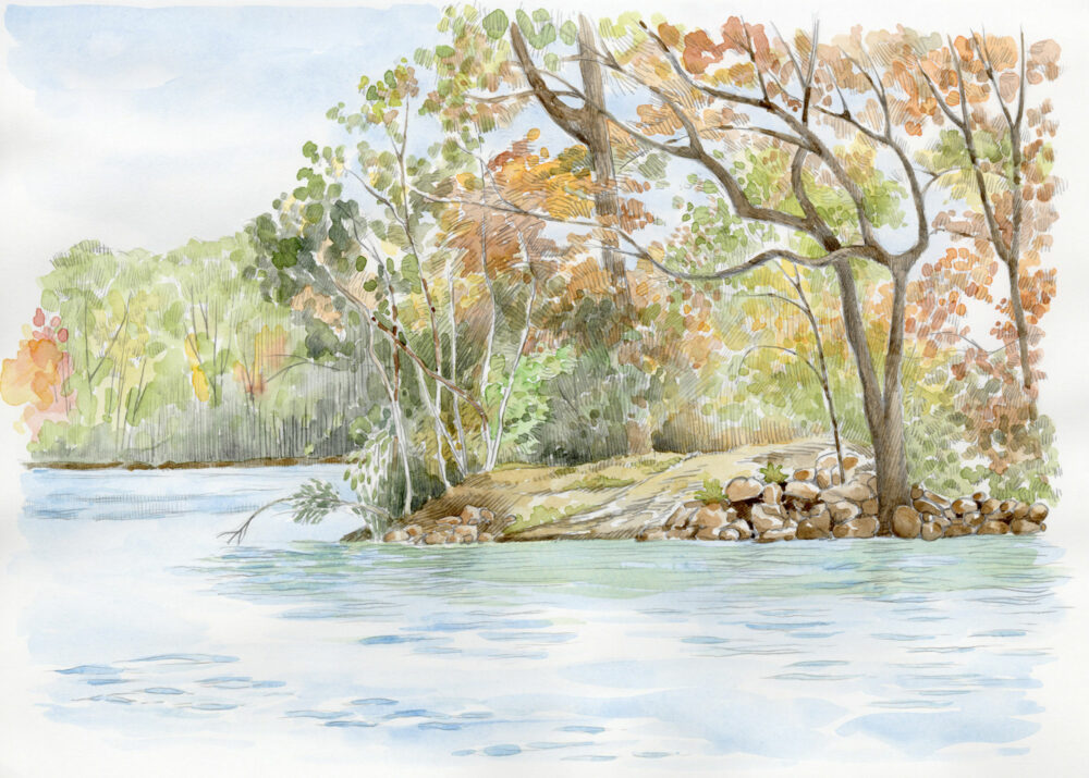 A lake shoreline with autumn trees drawn in pencil with watercolor wash