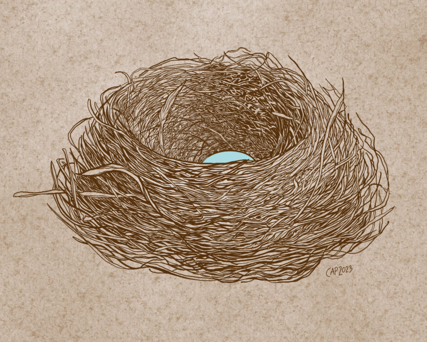 A digital pen and ink style drawing of a robin's nest in a brown color with a single egg in the nest, set against a brown kraft paper background.