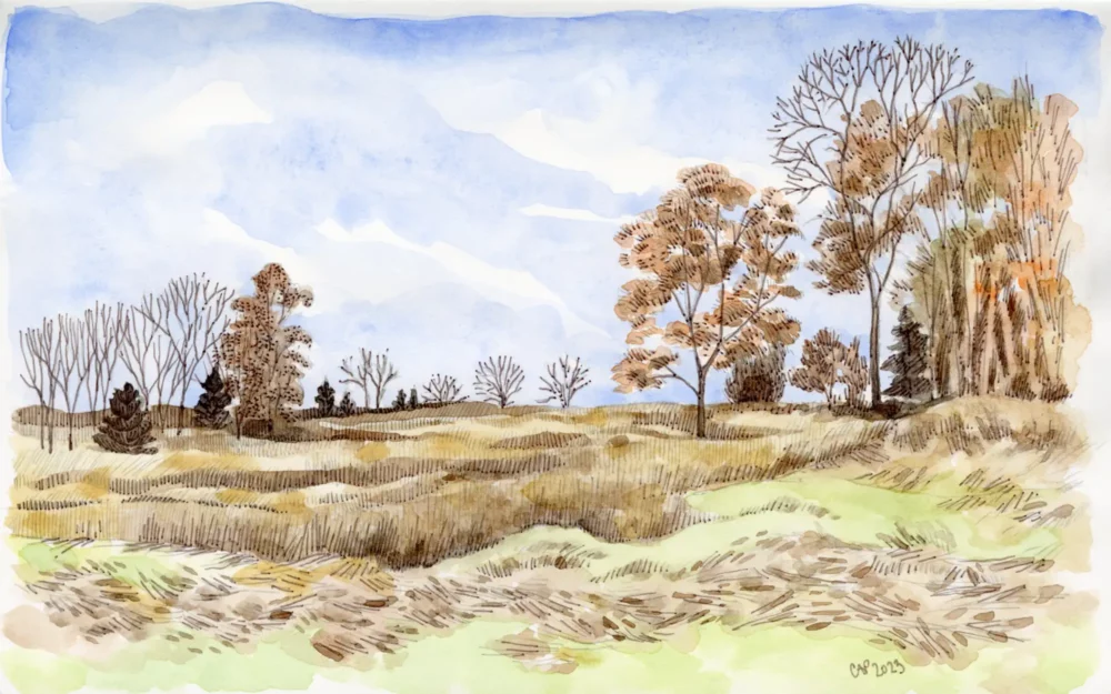 A drawing of a field with trees on the horizon.